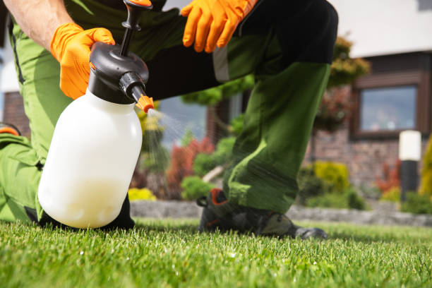 Best Commercial Pest Control Services  in Hutchison, VA