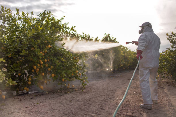 Best Cockroach Control Services  in Hutchison, VA
